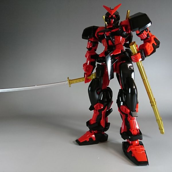 1/100 レッドフレーム