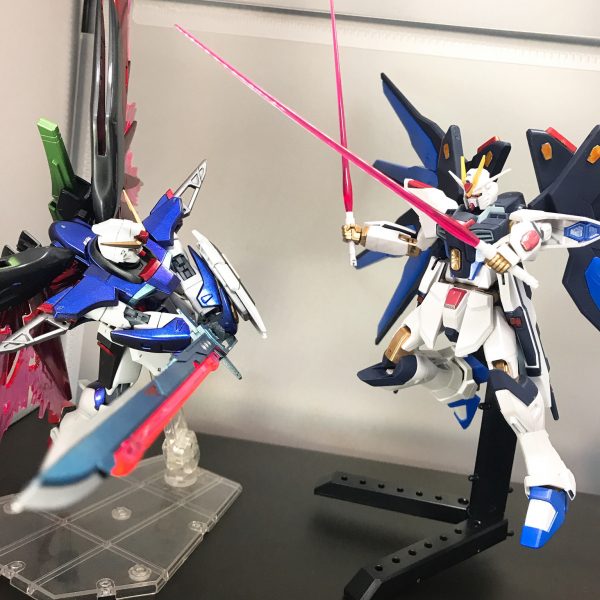 激突する運命と自由