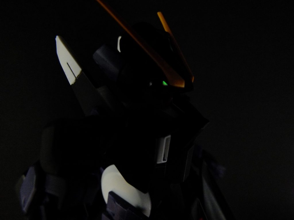 おまけその1 個人的に気に入っている1枚 無編集ですが、目が光ってくれました。