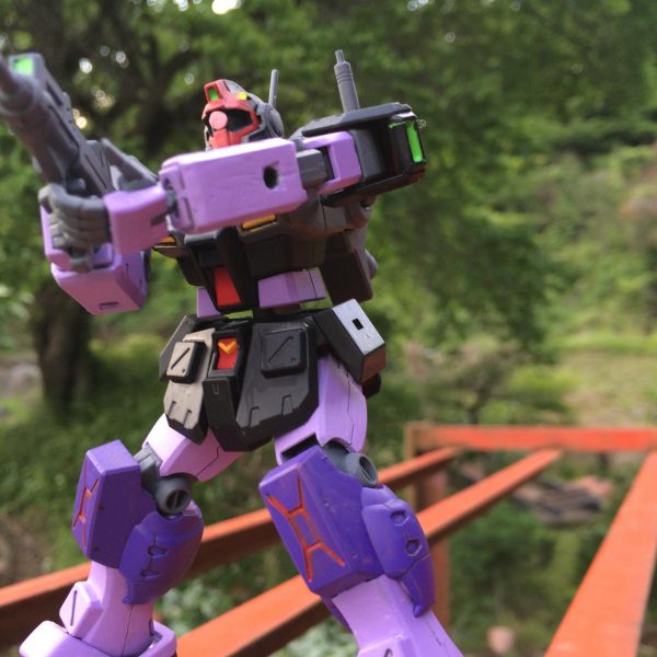 HG パワードジム