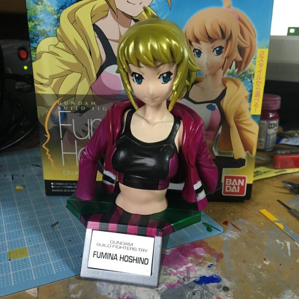 フミナパイセン タイプDCD