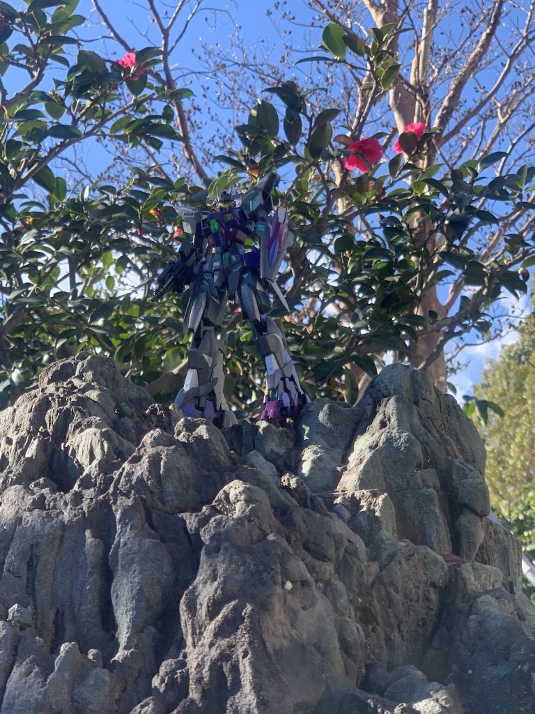 実際にいたら強そうですよね!
…岩の上に立って状況確認中・・・。