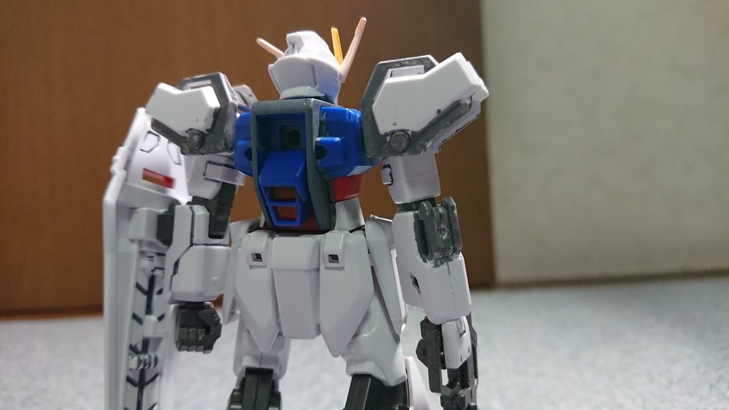 背部も頑張りました