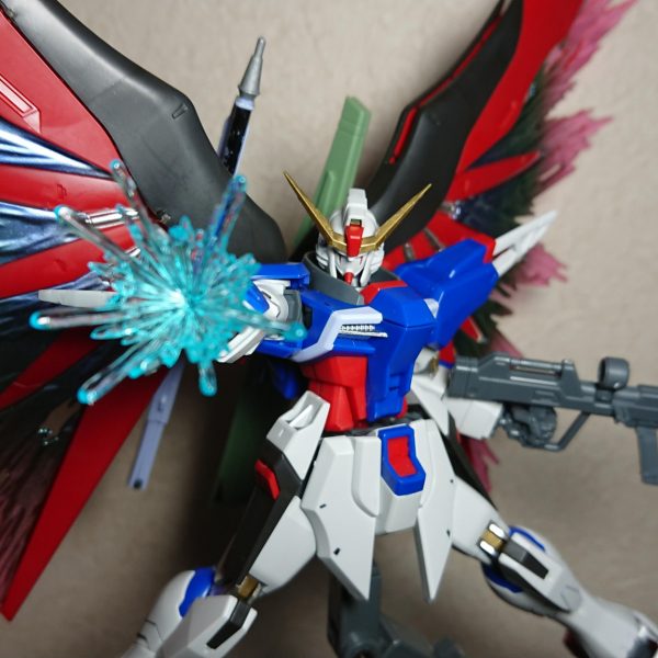 hgceデスティニー