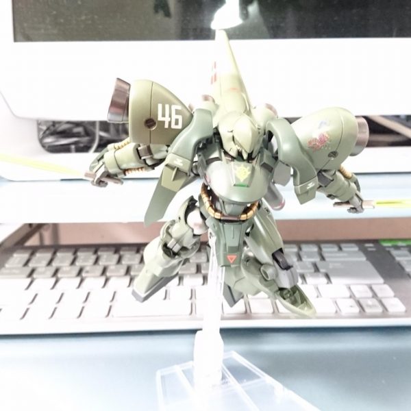 ガーベラ・テトラ