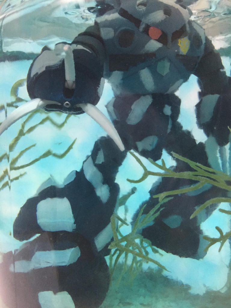 白背景で明るく撮影