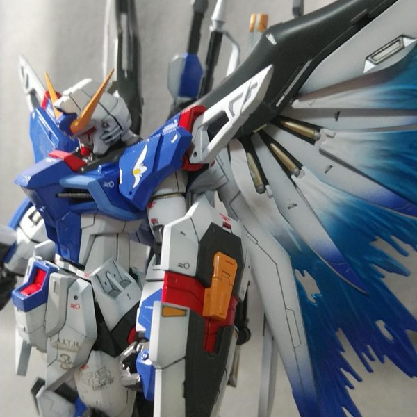 ZGMF X－42SR エルウィング