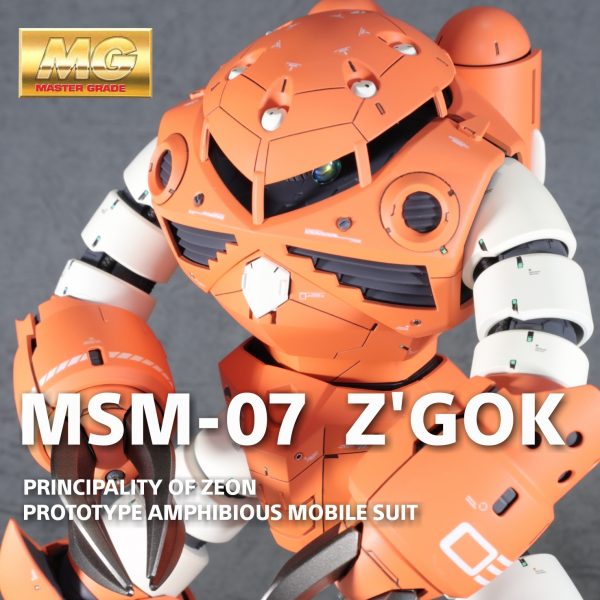 MG1/100 ズゴック 運用試験機