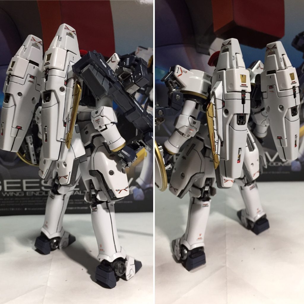 背面斜めから^_^