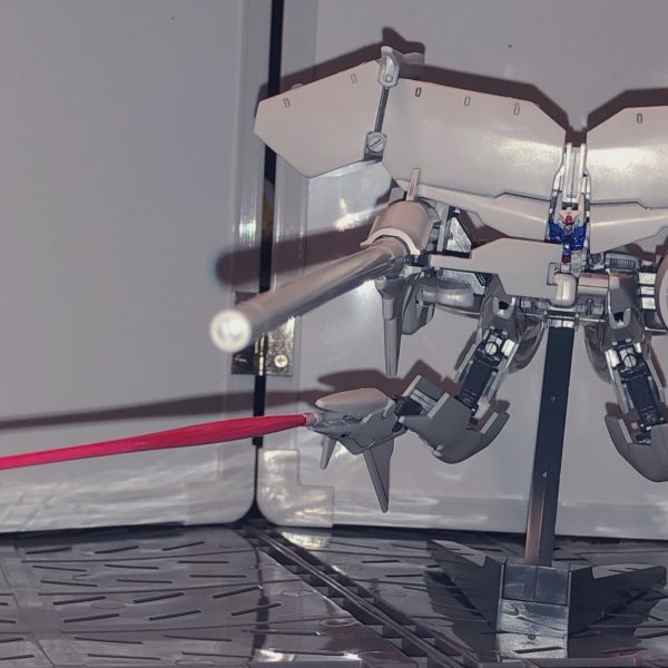 デンドロビウム