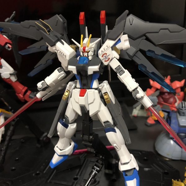 エターナルフリーダム完成