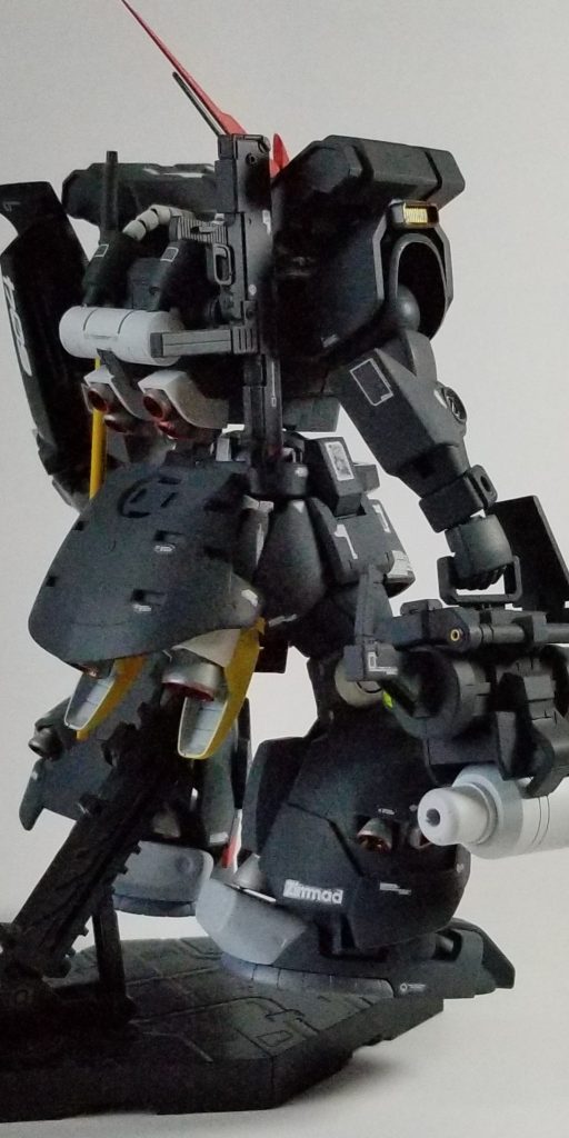 反対側のバックショットです。