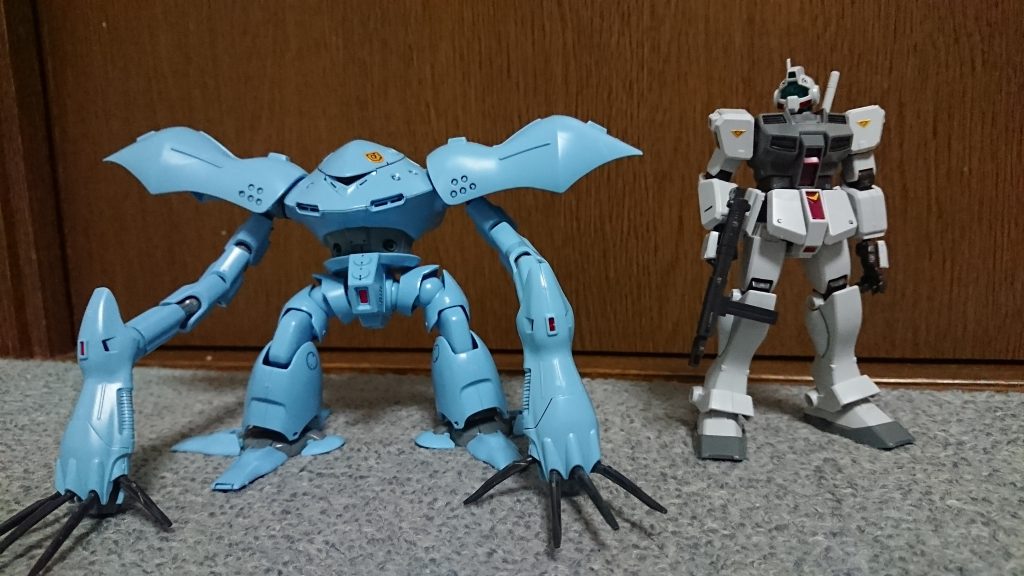 ジム寒冷地と並べて
それなりに大きい