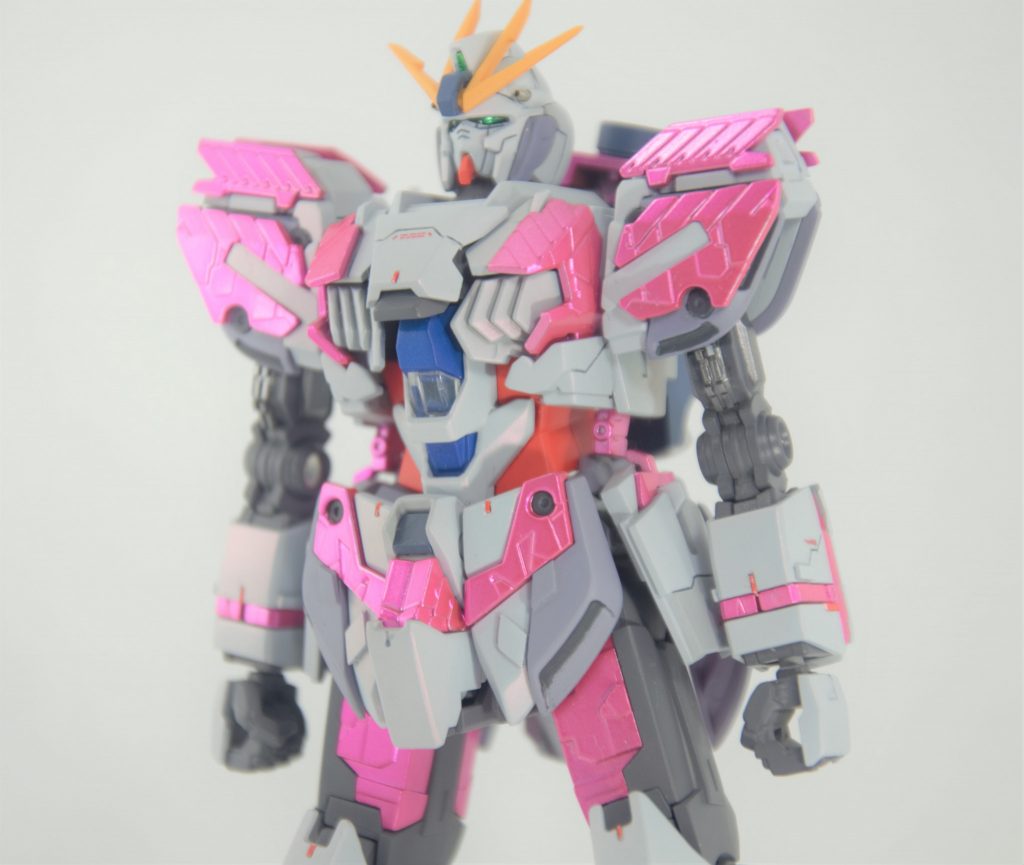 二頭が貧弱なので個人で販売されていたしいたけアソートを貼って少し割増し