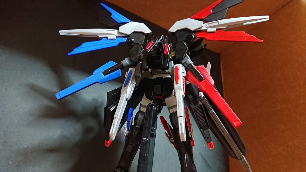 後ろはこんな感じ・・・結構大きくなった感じが・・・