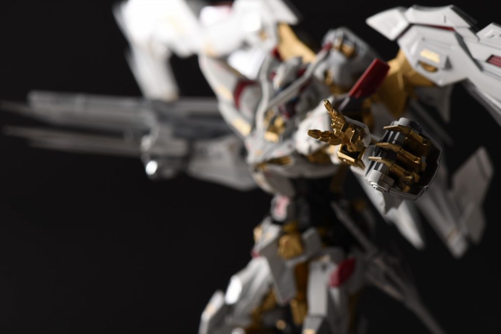 写真のボケ感が良い…
撮影は身内のカメラマンにお願いしました！