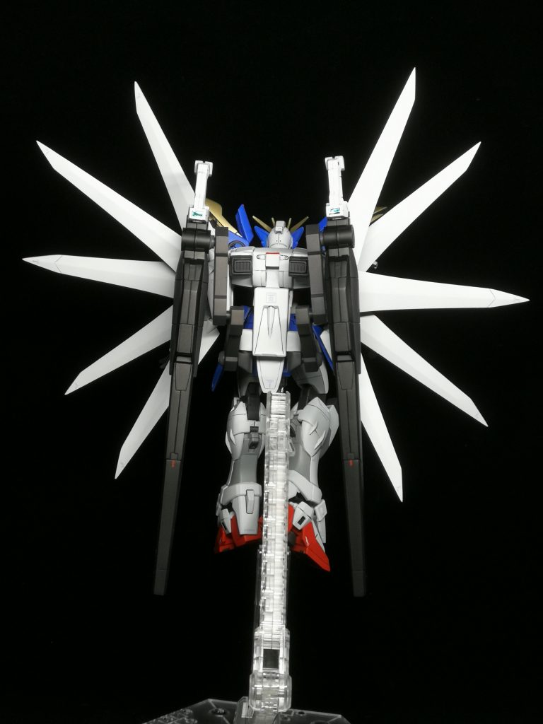 ちなみに背中はこんな感じ。