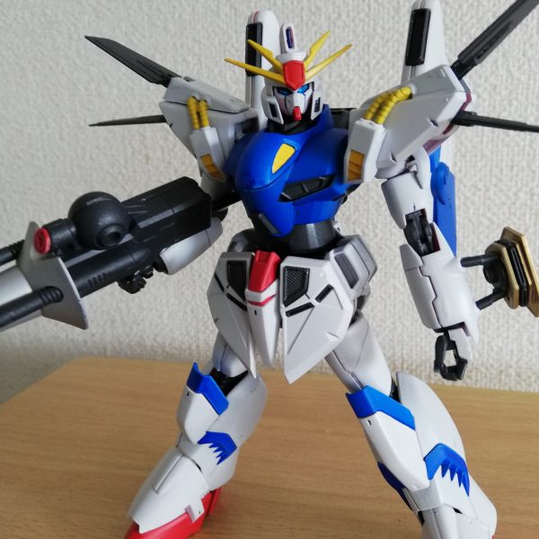 ビギナギナⅡ（連邦仕様）