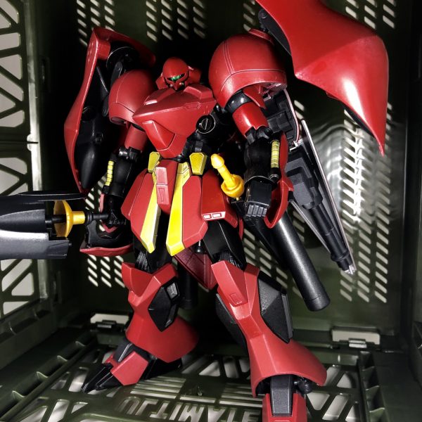 プロテア・テトラ