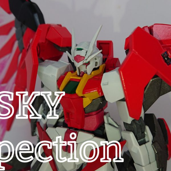 ダブルオースカイ インスペクション