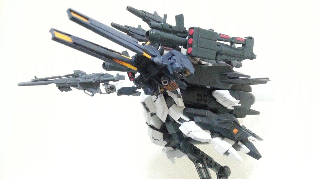 下から見るとそこそこシャチっぽい？