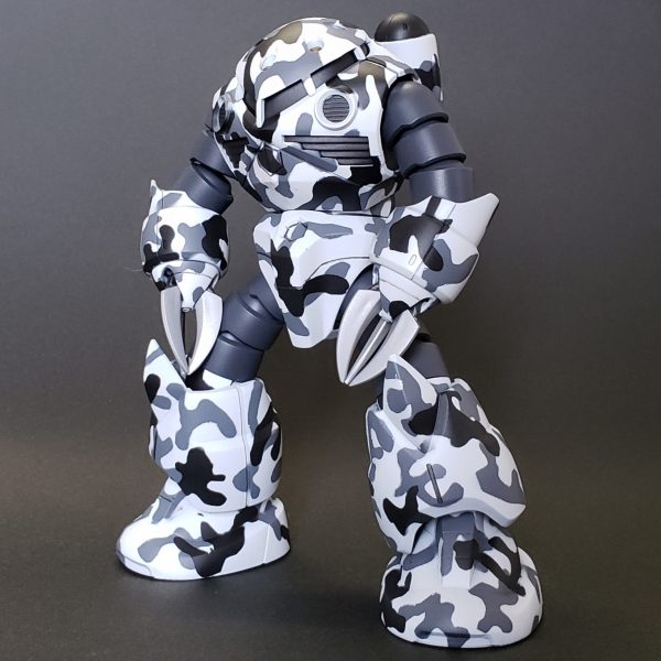 HG ズゴック(白迷彩仕様)