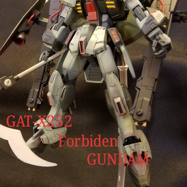 HG フォビドゥン ガンダム