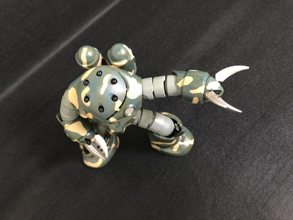 上から撮ってみました