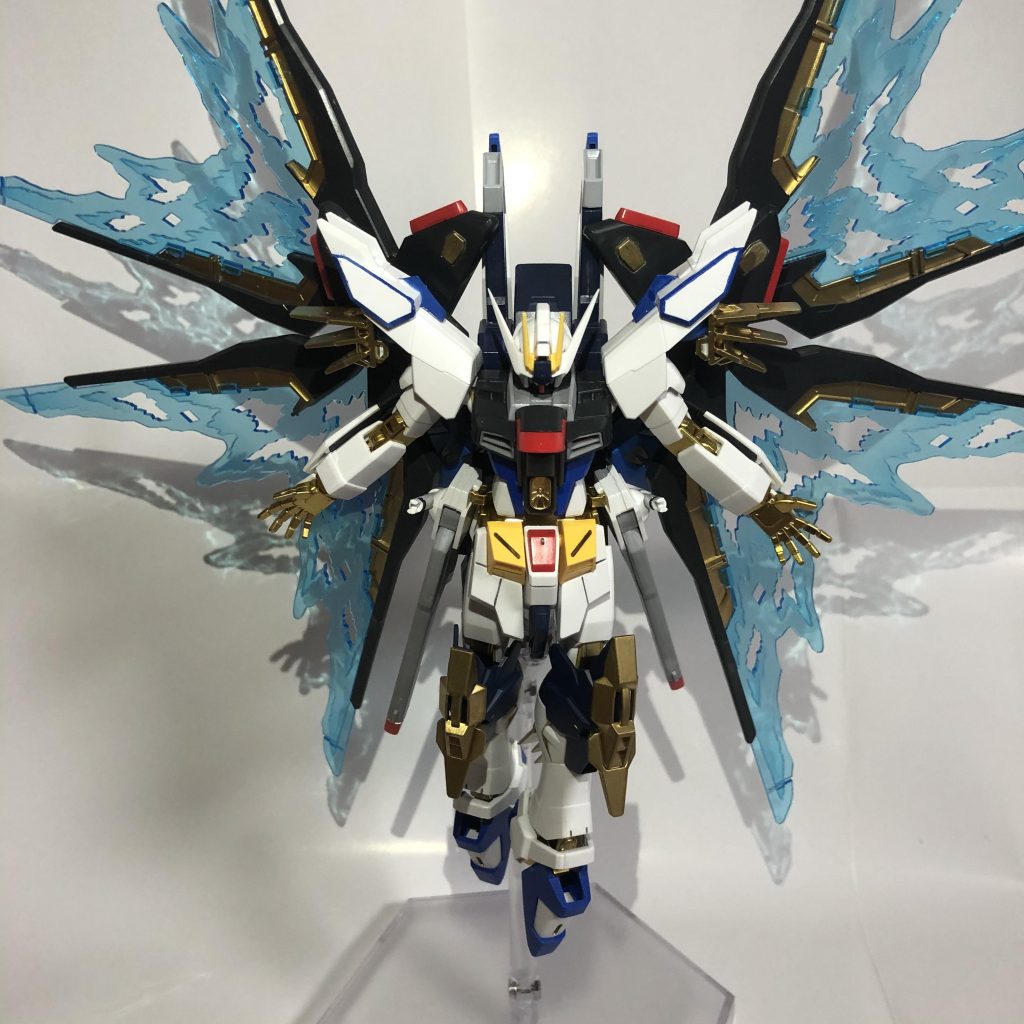 舞い降りた自由の翼