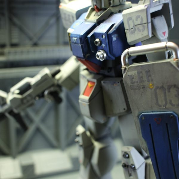 陸ガンできました。