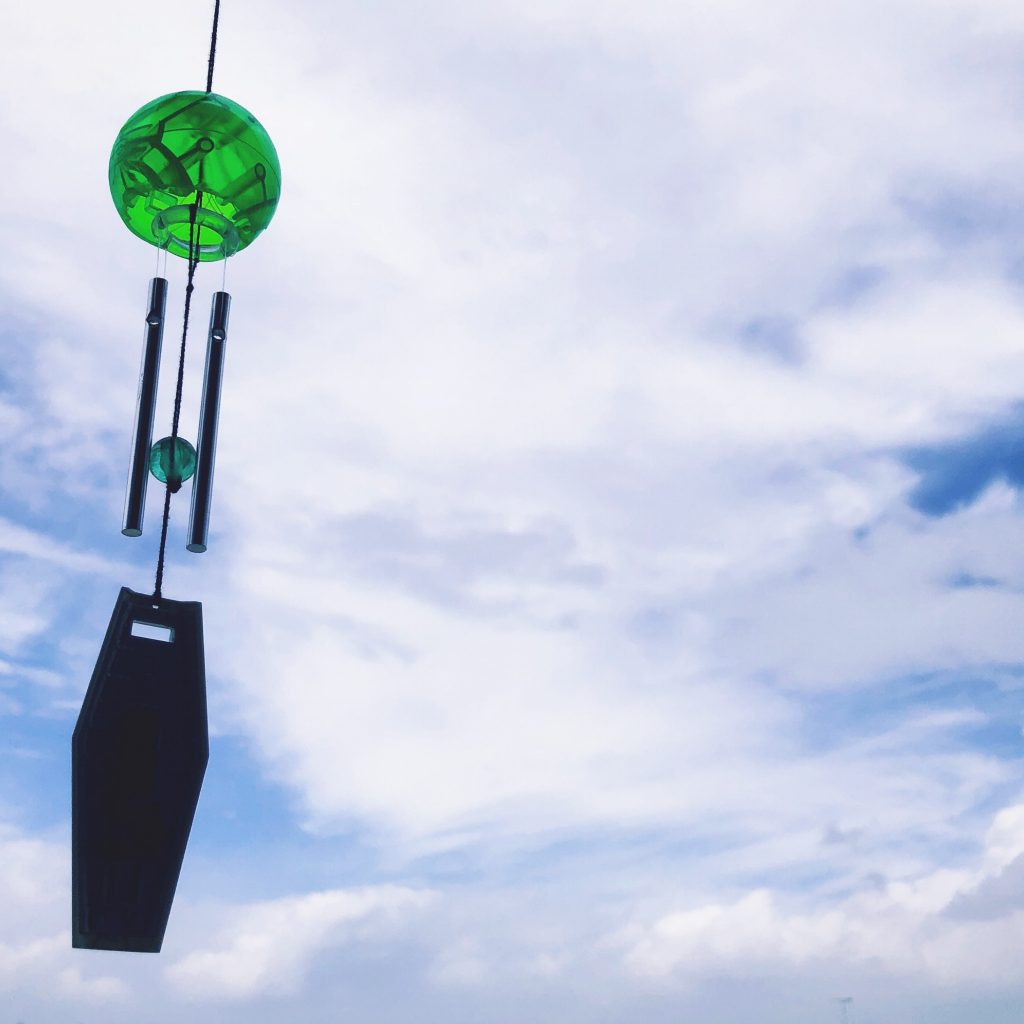 スマホでは限界がありますが野外撮影もしてみました(°▽°)