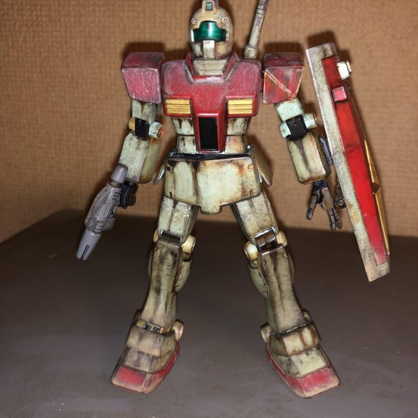 ジムが安かったので！