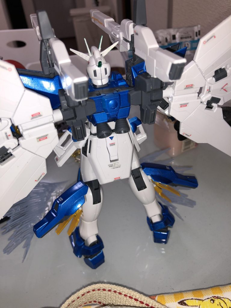 背中から見た図、青の綺麗さがウリです。