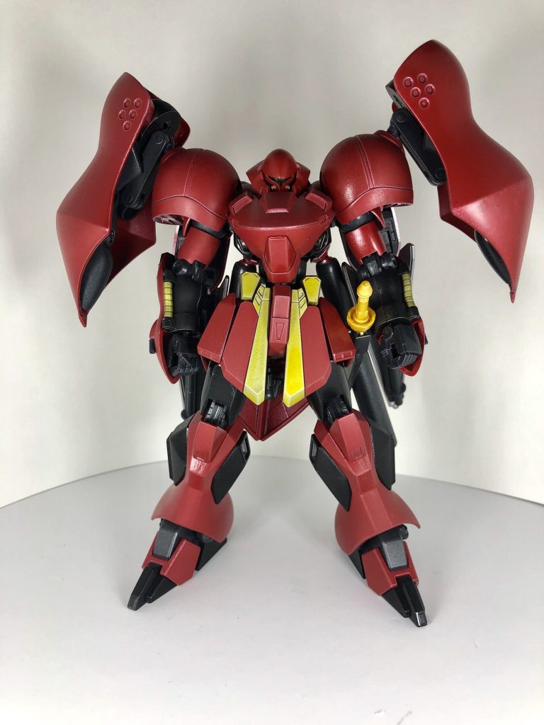 正面。肩バインダーはハイゴック肩とテトラの脛。