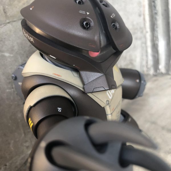 MGアッガイ｜陽光の頃さんのガンプラ作品｜GUNSTA（ガンスタ）