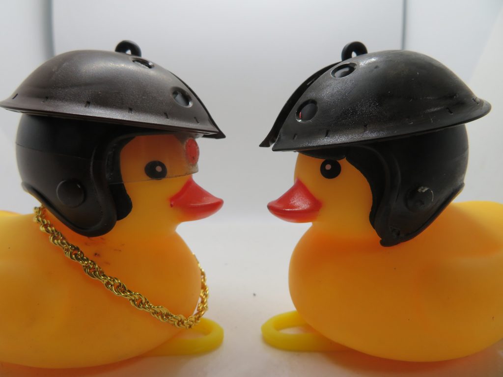 ポーズは固定です。（ｷﾘｯ）