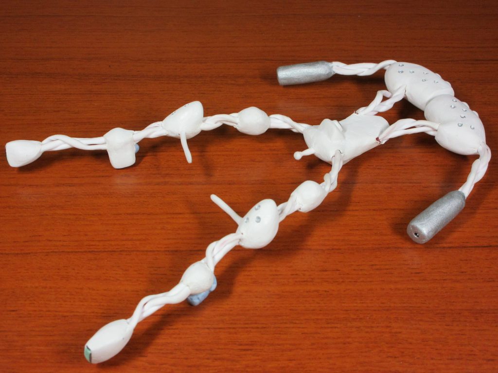 こんな感じに伸ばしたら……