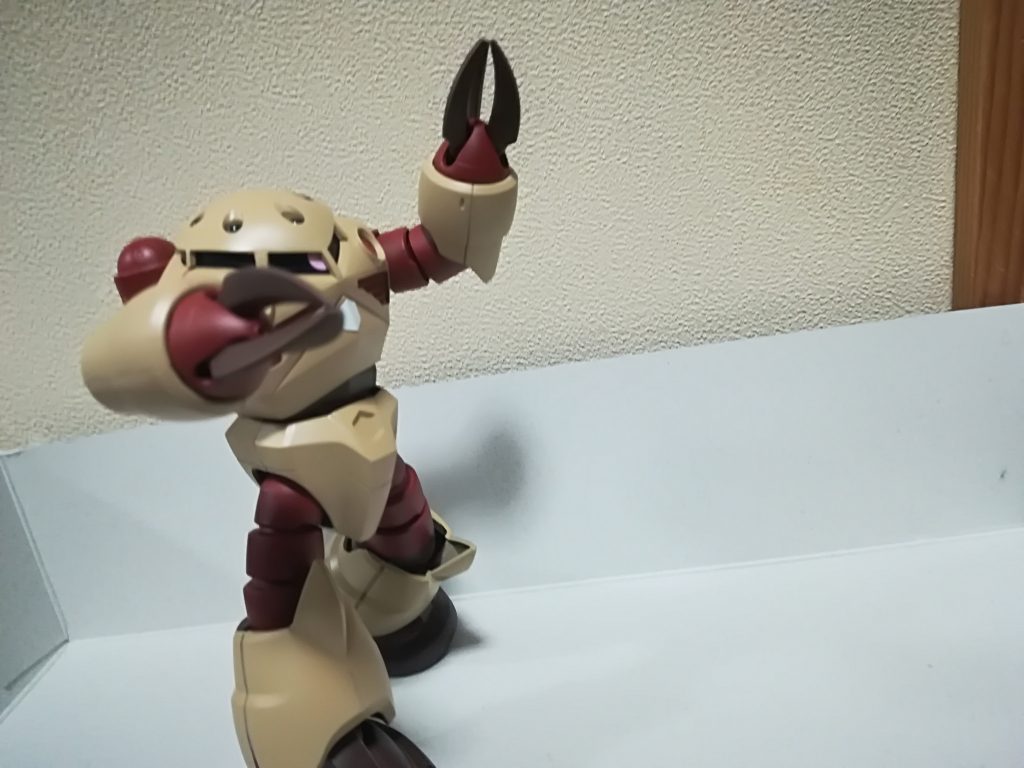 いつか砂浜でお写真をとりたいね！