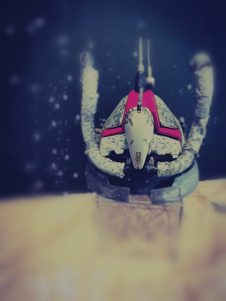 氷塊が飛び交う嵐に備え、髭でゴーグルを守ります。