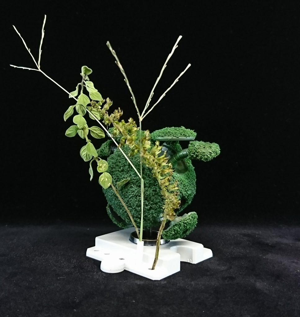 苔玉ハロのバックショット。台座の穴に庭で採った草をさしました。シソの種子と、オレガノと、何かの雑草です。