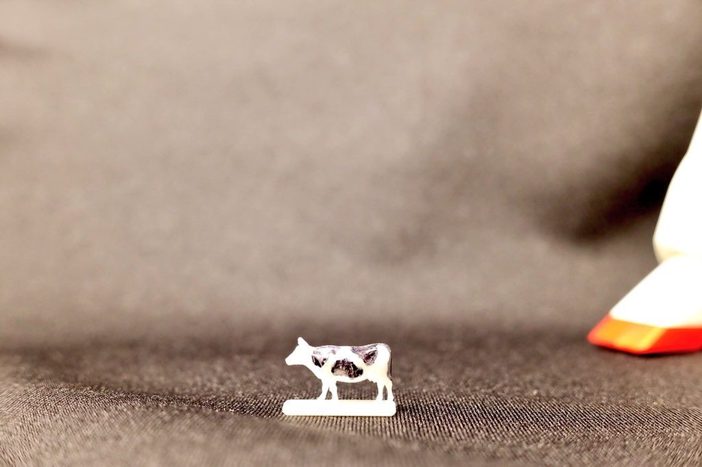 マスターグレードの牛です。
美しいですね。
全日本ホルスタイン共進会……いわゆるホルスタイン品評会みたいなところで優勝を狙えると思います。