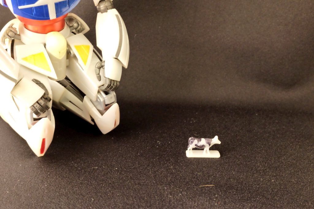 ちなみにこちらは乳牛なのですが、牛さんは生まれてからすぐに乳を出すわけではありません。
出産を経験することで乳を出してくれるのです。
つまり、本来でしたら子牛が飲む母乳を、私たちは分けてもらっているのです。
とってもありがたいですね。