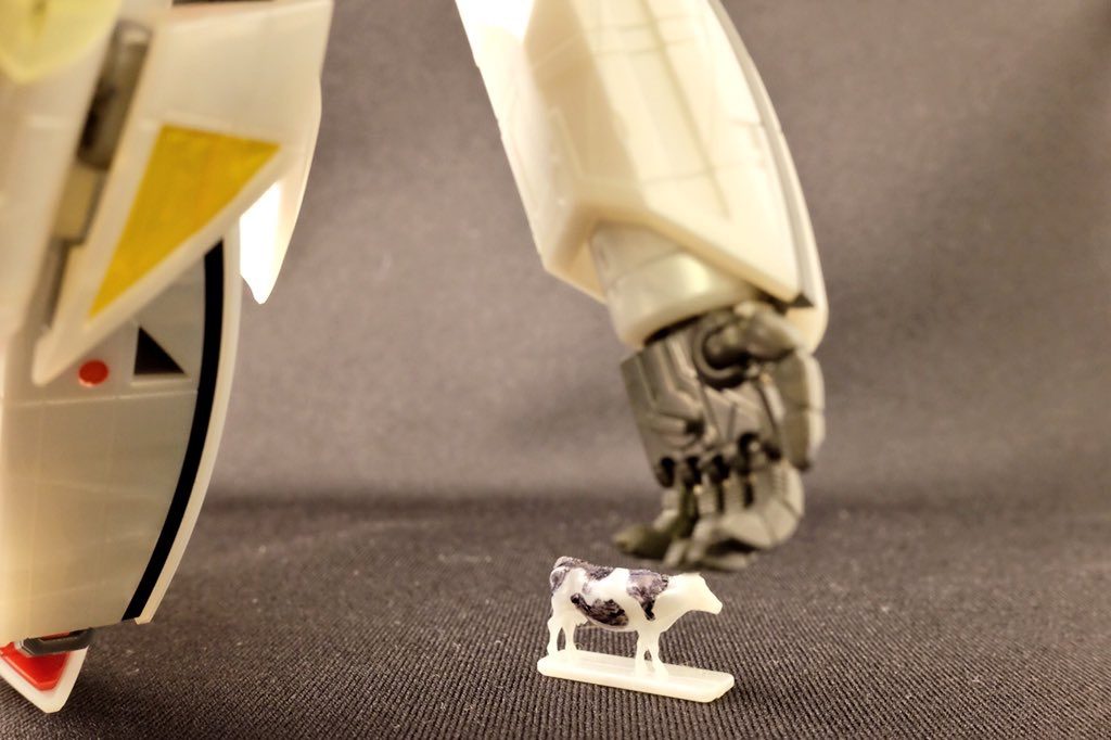 ……。
えーと……