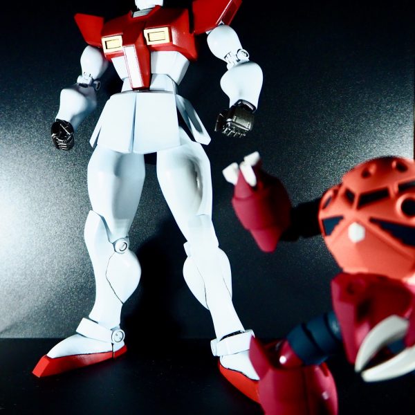 ダイバーアヤメ 【素足】