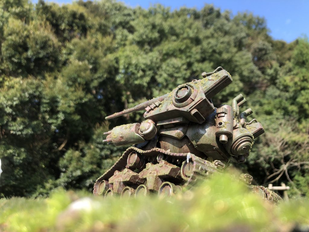 少し離れた茂みから反対側面