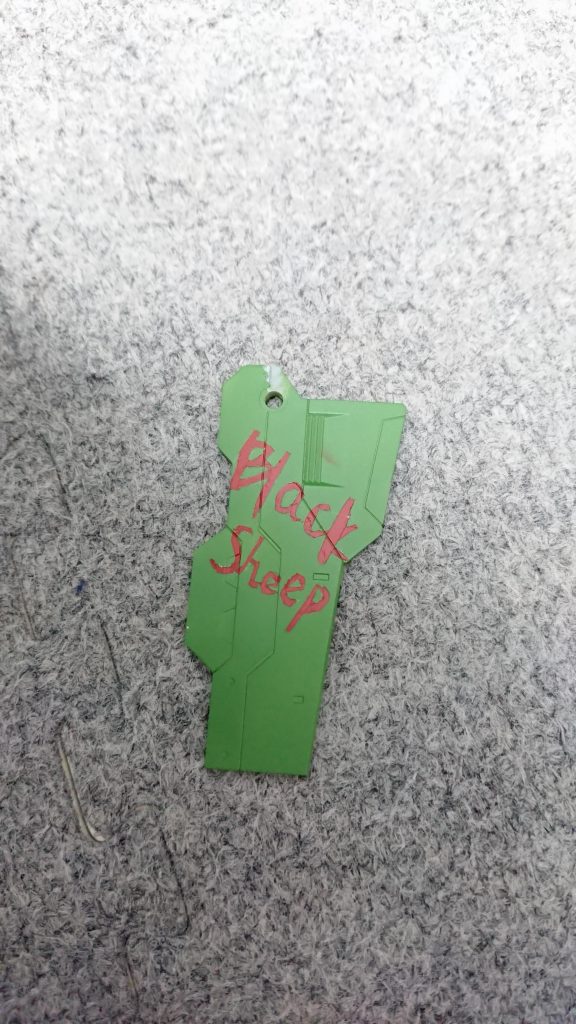 隠れていなければこんな感じでした。