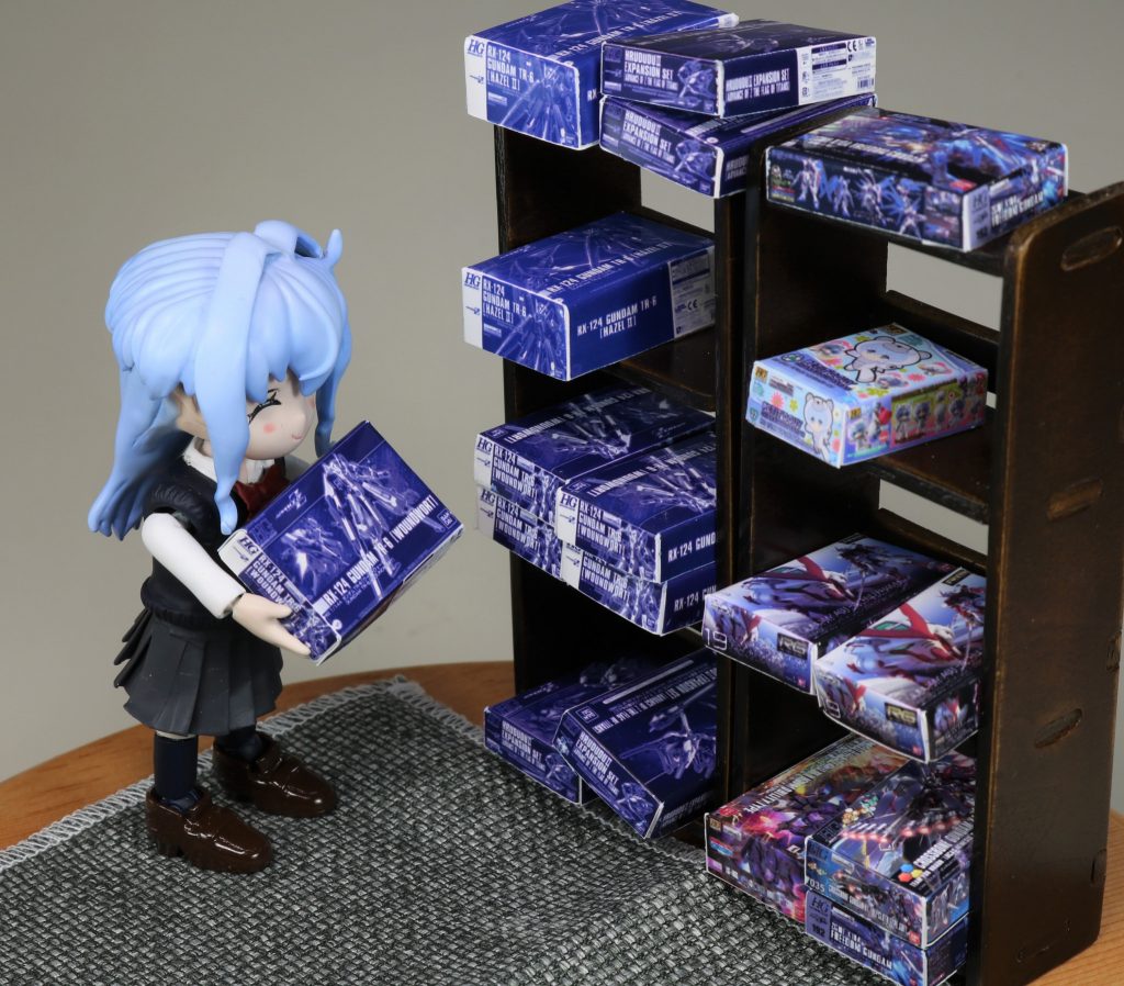 今月もプレバンからガンプラが届いてご機嫌のサラちゃん