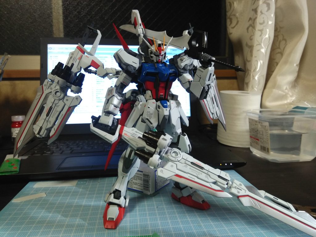 色々やってみましたがこのポージングが一番安定感があります(物理的に)