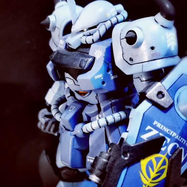 hgucグフカスタム