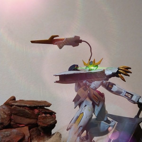 ＨＧバルバドスルプスレクス